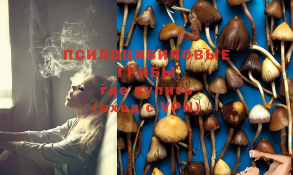 PSILOCYBIN Алексеевка