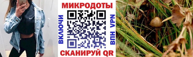 Галлюциногенные грибы мицелий  сколько стоит  Фролово 