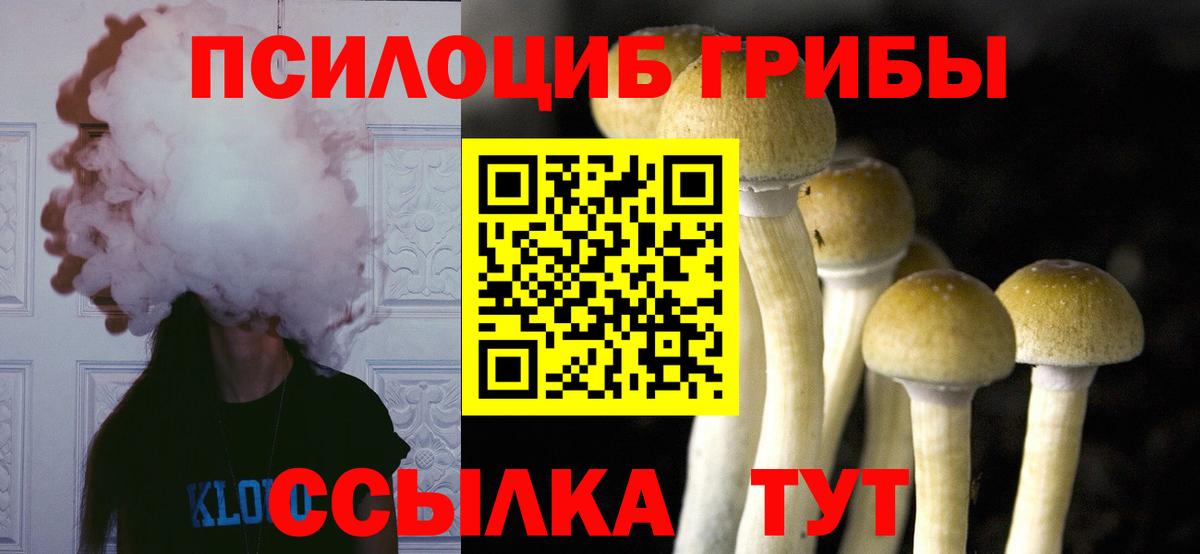 Псилоцибиновые грибы MAGIC MUSHROOMS Фролово